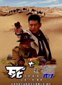 久久久久亚洲精品国产